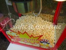 maszyna do popcornu i wata cukrowa